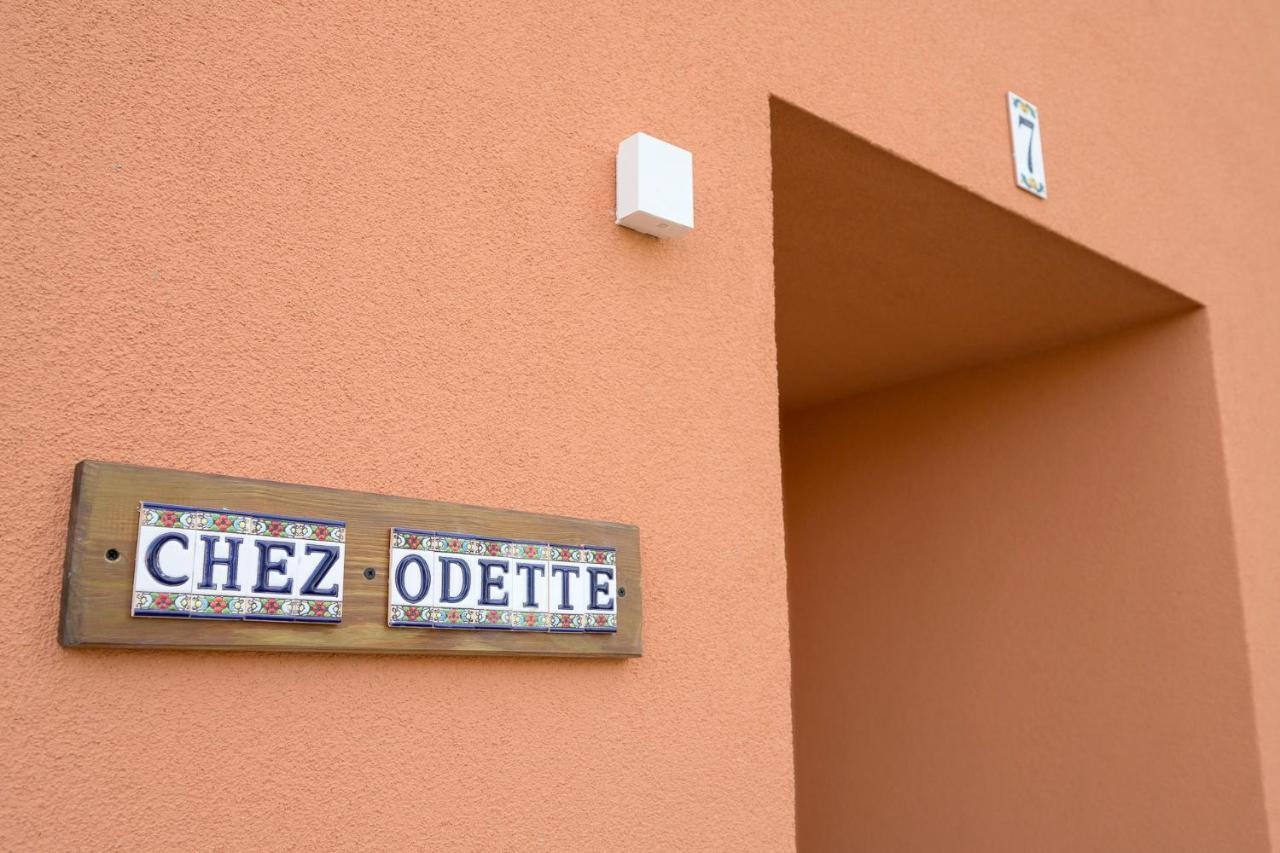 Chez Odette - Spa, Plancha, Parking Albi Bagian luar foto